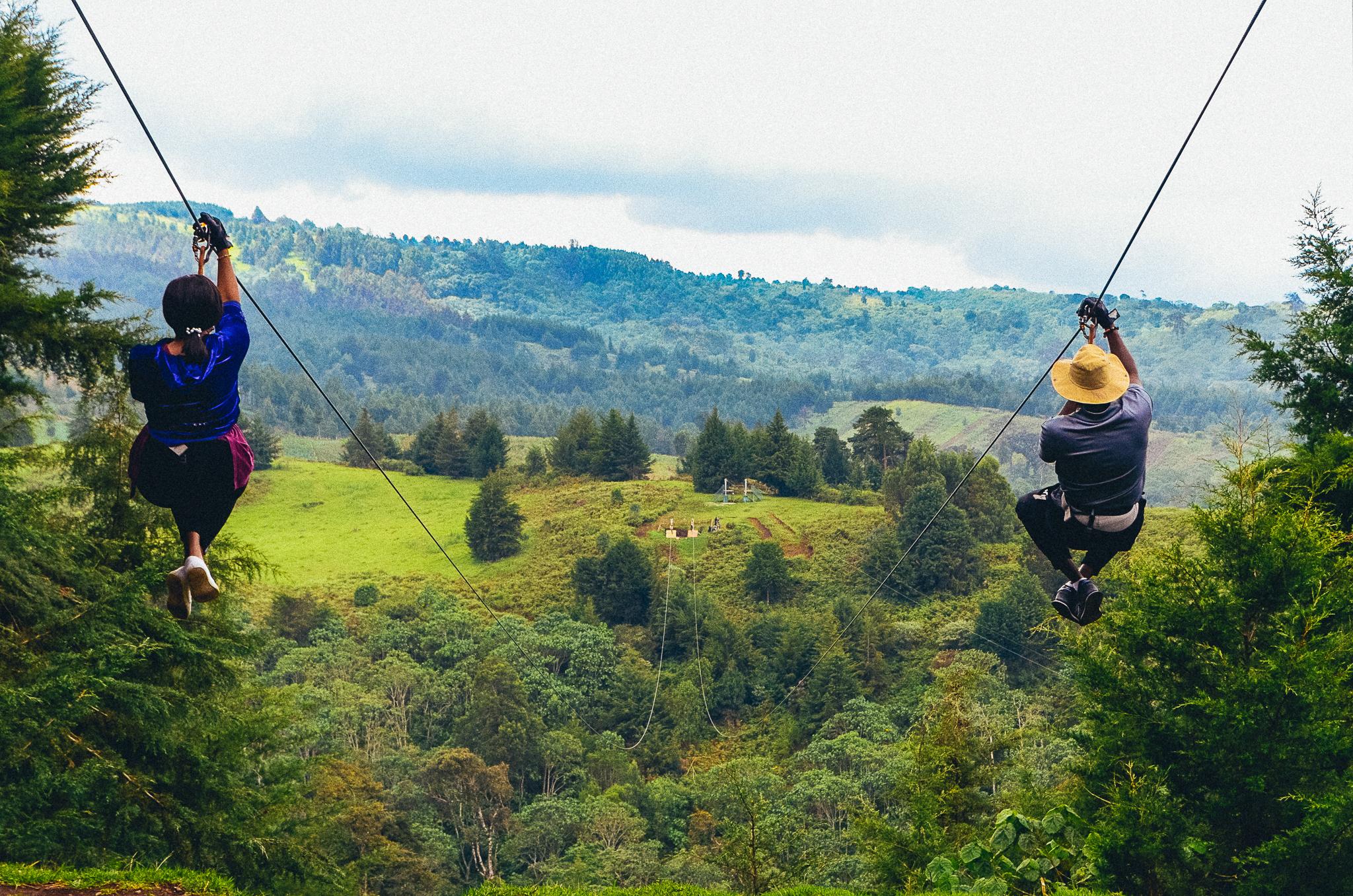The Ultimate Outdoor Escape: Inside The Forest, Kereita